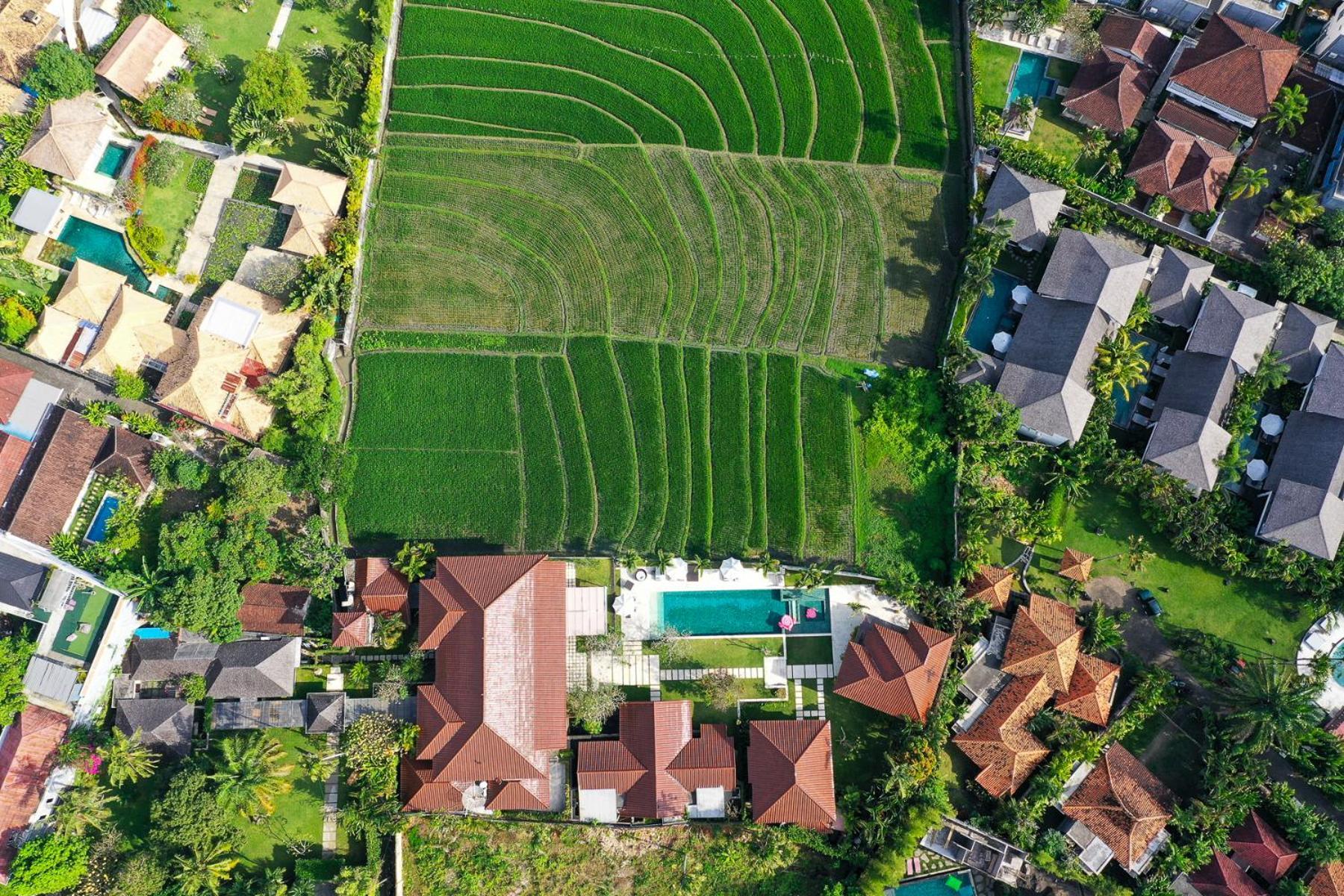 Villa Manis Canggu 외부 사진
